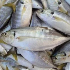 Sainsbury's Breaded Yorkshire Cured Cooked British Ham Slices, Taste the Difference x4 120g