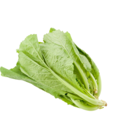 Vietgap Bio Ngon Green Mustard 300G/Pack (I0013789)